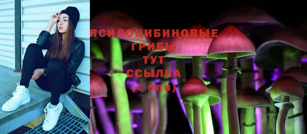 меф Коряжма