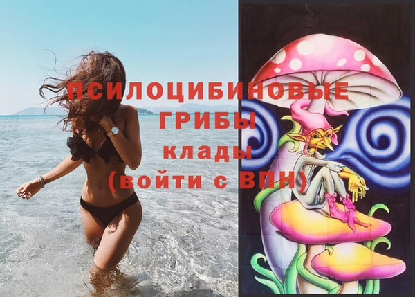 mdpv Козельск